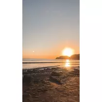 芹奈