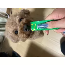 まなか