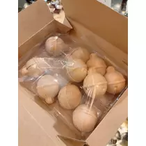 和倉 潤