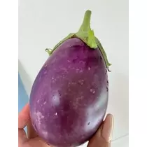 立華 碧