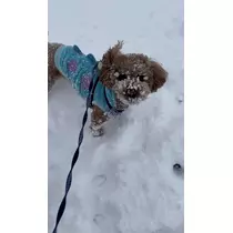 みり