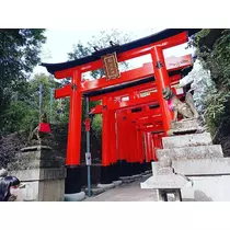 田中 美緒