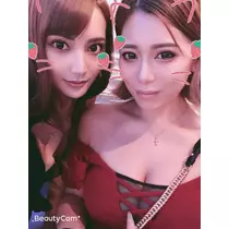 ヤシの木 ここな
