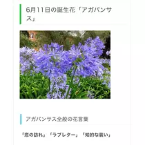 れいか