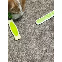 緑 四葉