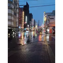 ひな