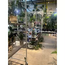 かびるんるんさわ