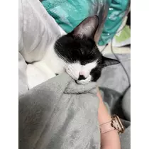 サキ