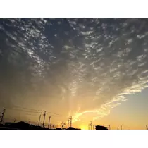 あり