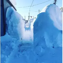 のはら かすみ