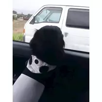 りえ