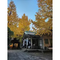 りか