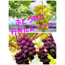 美穂