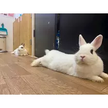 るな