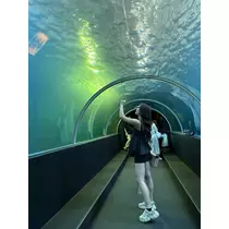 かほ