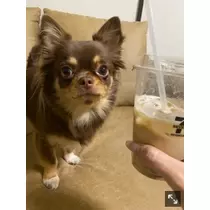 ありさ♡