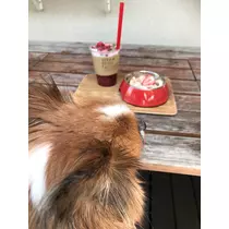 あいら