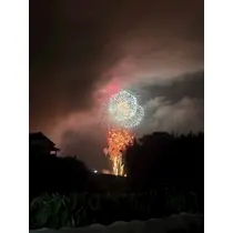 シオン