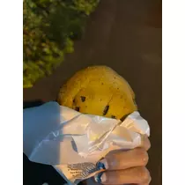 皐月 いおり