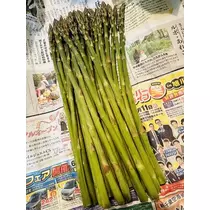 白石 愛莉