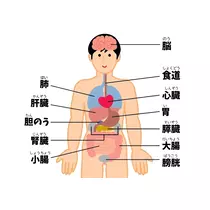 エミ (スタッフ)