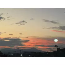 美穂