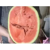 七星 夏純