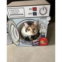 メイ