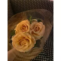 白石 愛莉