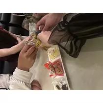 れいん