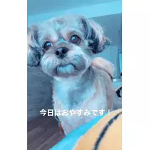 水城 百合