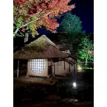 姫花