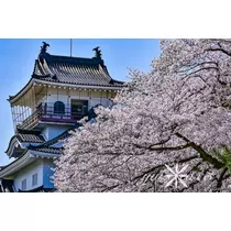 神崎　唯