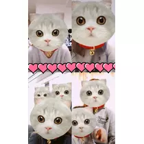愛羽 仁美