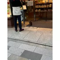 なこ
