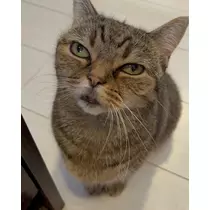 ひびき