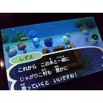 ひな