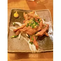 宝條 夏恋