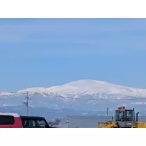 りん