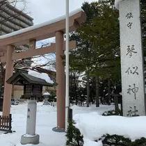海咲  佑奈