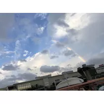 はつね