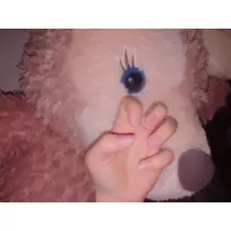 かのん