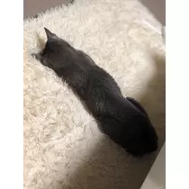 華