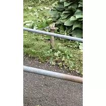 長瀬 純恋