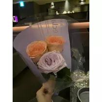 白石 愛莉