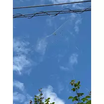 なこ