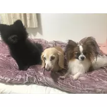 ティナ