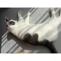 みさ