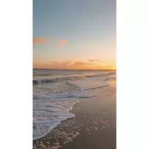 七星 ゆめ