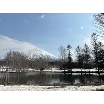 香川 ゆい